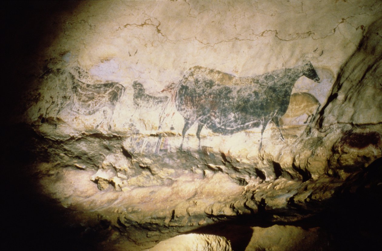 黒い牛の岩絵、紀元前17000年頃 作： 不明不明