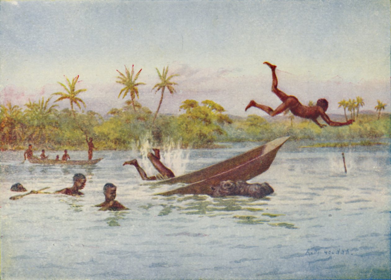 中央アフリカでのカバ狩り、1924年 作： 不明