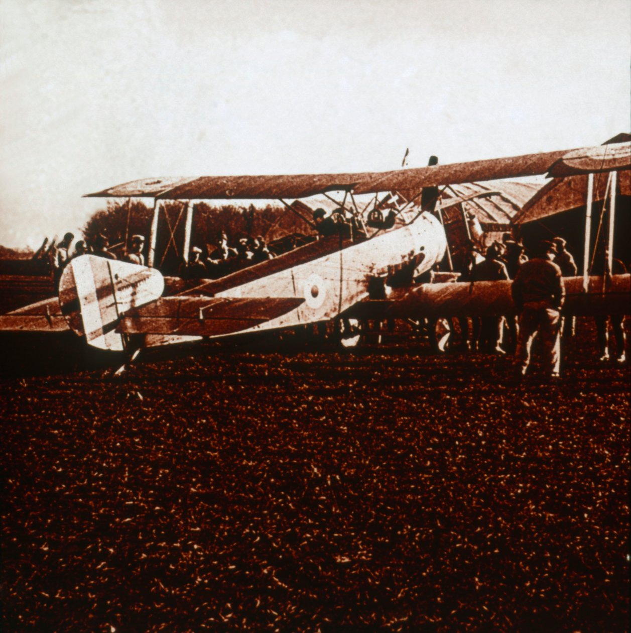 ソッピースキャメル、c1917-c1918 作： 不明