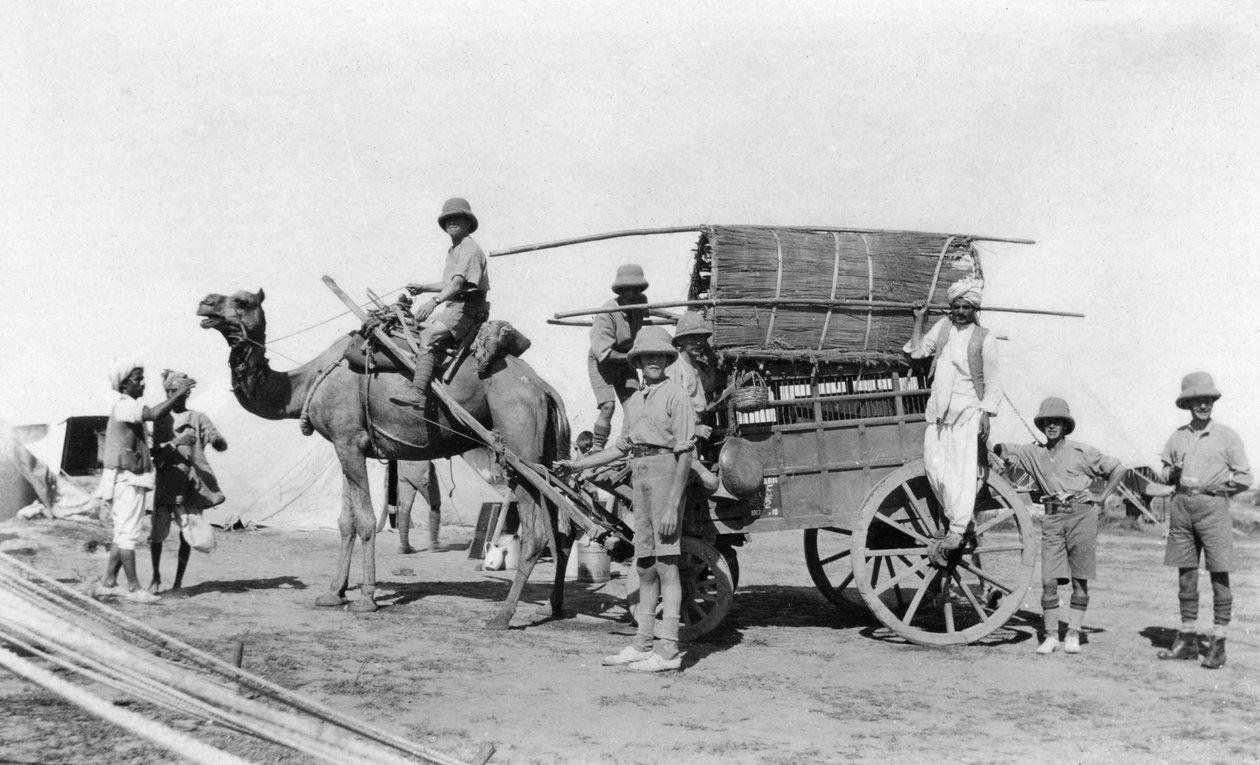 ラクダ車、インド、1916年〜1917年 作： 不明