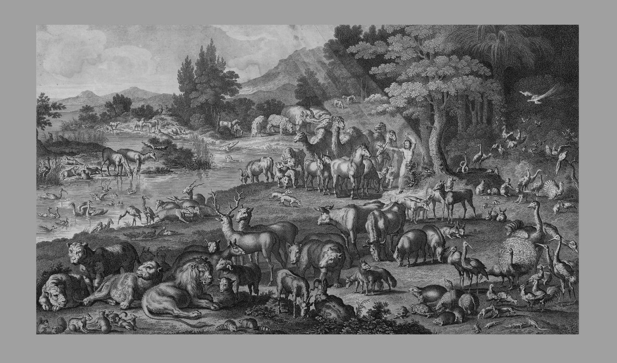 アダムは1818年にクリエーションに名前を付けました。 作： 不明