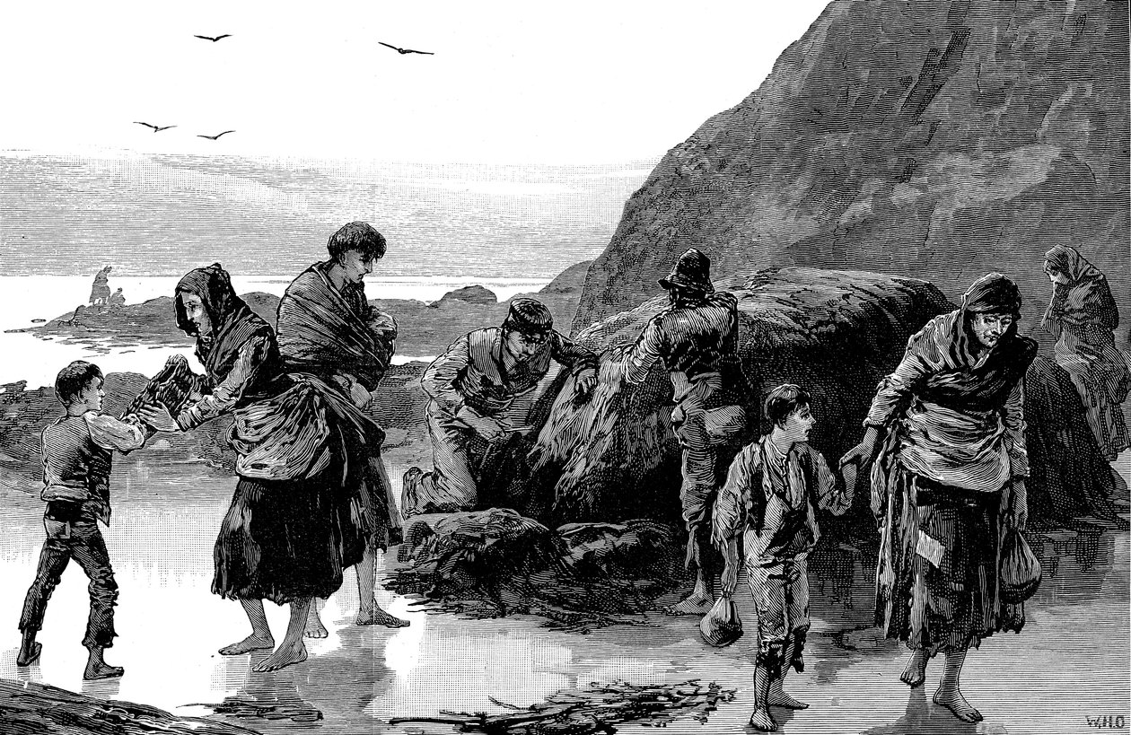 飢饉の余波、アイルランド 1840 年代、1886 年 作： 不明