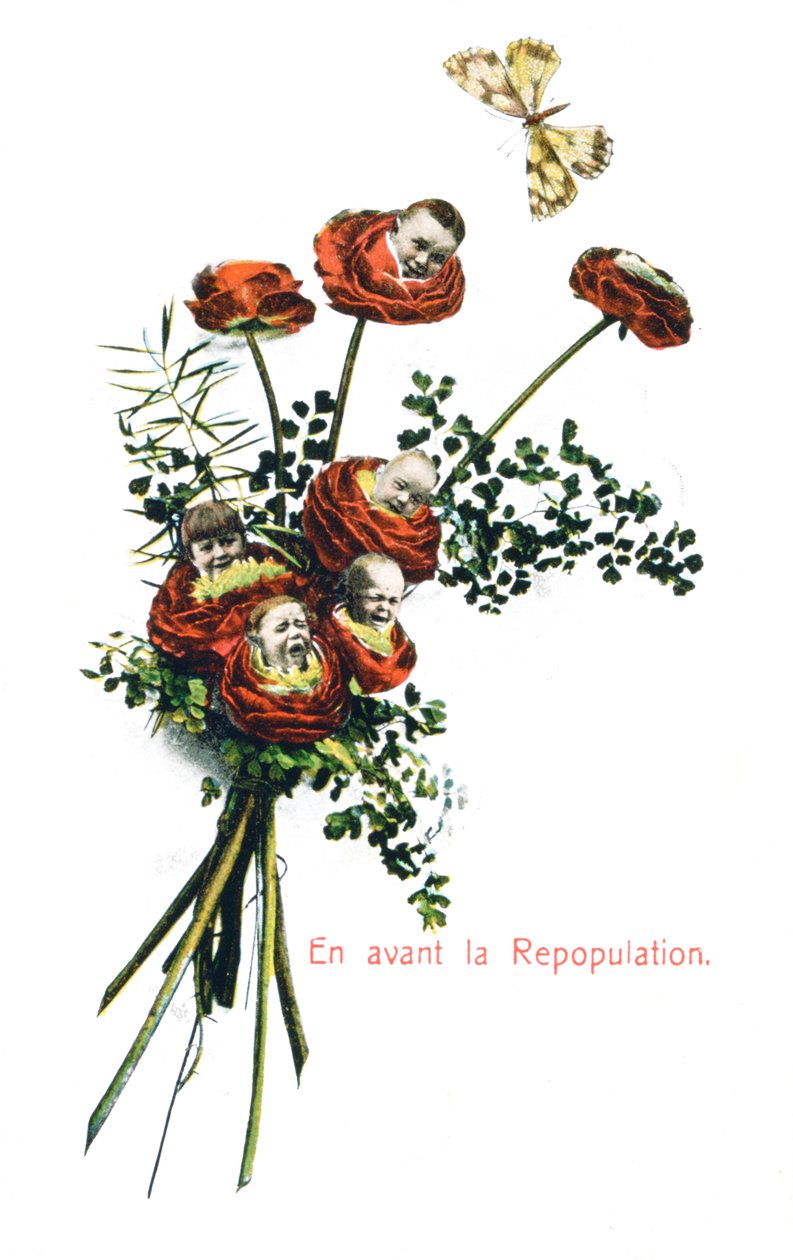 Ahead Repopulation、French Postcard、c1900 作： 不明