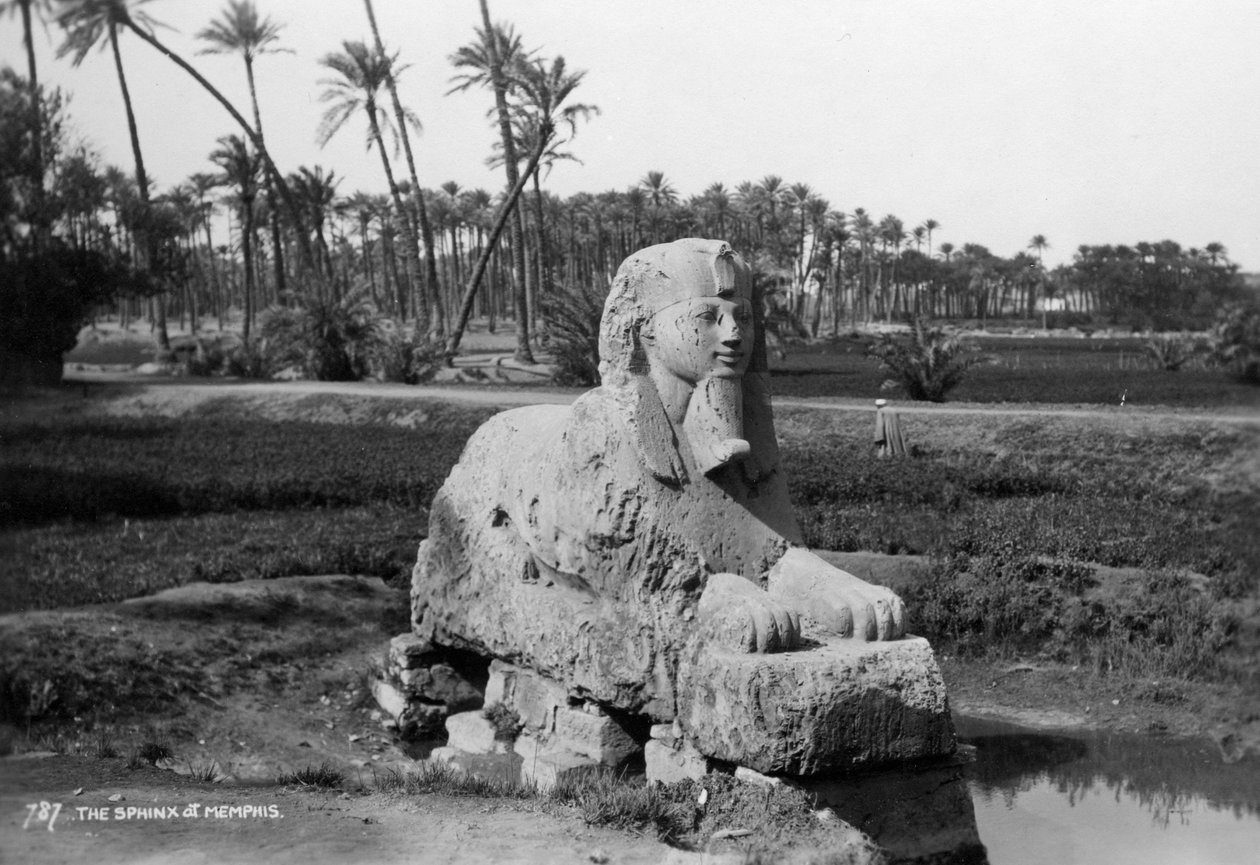 アラバスタースフィンクス、メンフィス、エジプト、c1920s-c1930s 作： 不明