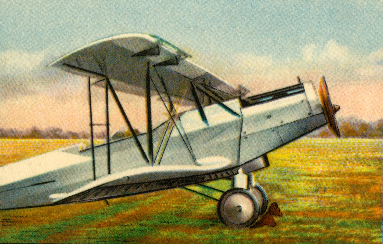 アルバトロスL 75a尻面、1920年代、1932年。 作： 不明