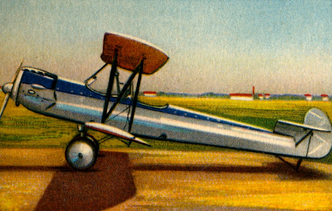 アルバトロスL 82飛行機、1920年代、1932年。 作： 不明