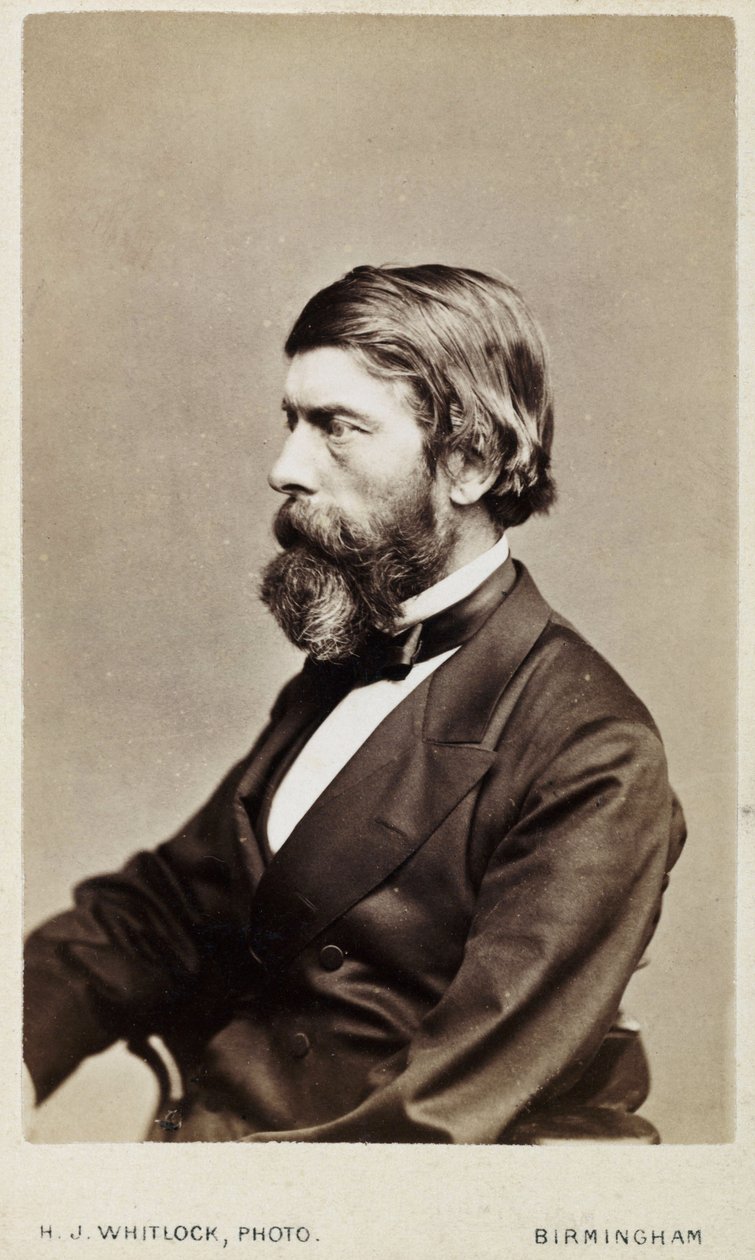 アレキサンダー・ウィリアム・ウィリアムソン、スコットランドの化学者、1865年頃 作： 不明