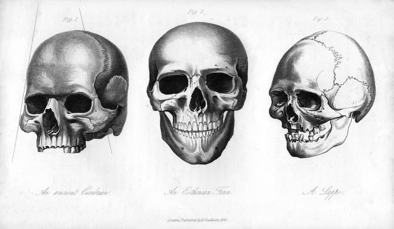 エンシェントシンブリアン、エストニアフィン、ラッペ、1848 作： 不明