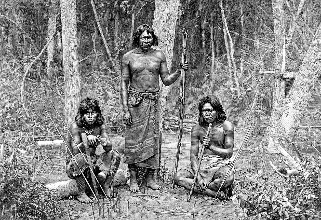 少なくともインディアン、北チャコ、パラグアイ、1895 作： 不明