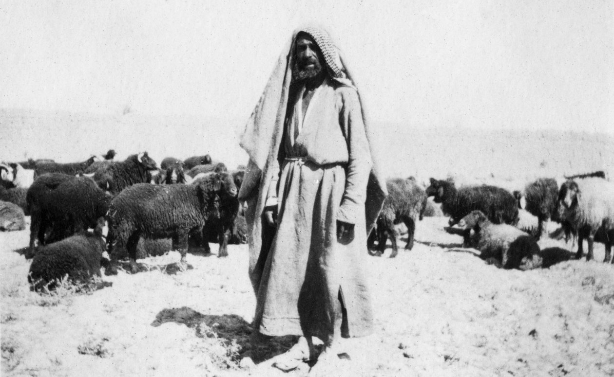 アラブの羊飼い、カジメイン地域、イラク、1917〜1919年 作： 不明