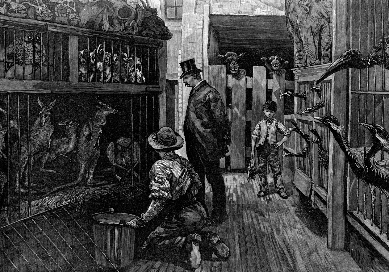 1887年、ロンドンのジャムラッハスで 作： 不明