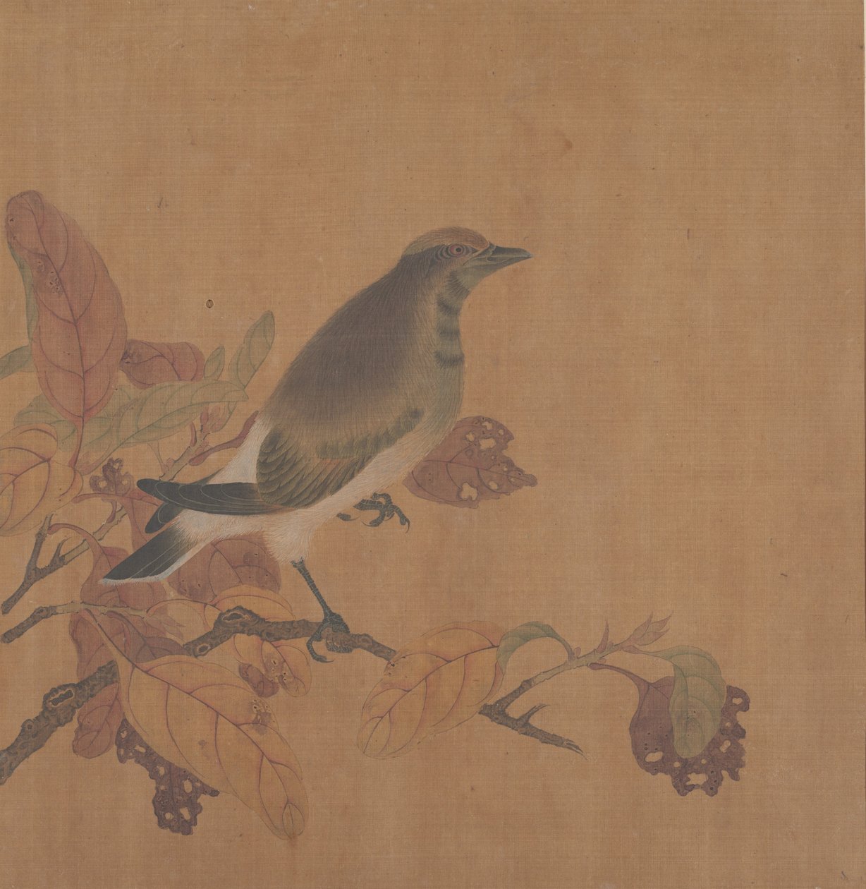 ブランチ上の鳥。 作： 不明