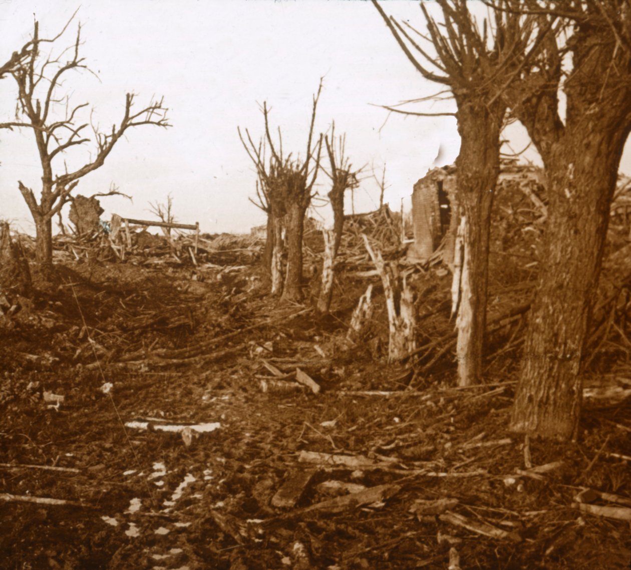 発破された風景、ベロイアンサンテール、フランス北部、c1914-c1918 作： 不明
