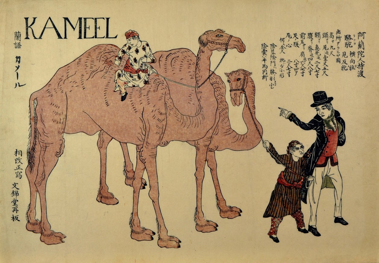ダッチハンドラーとラクダ、約。 1821年。 作： 不明