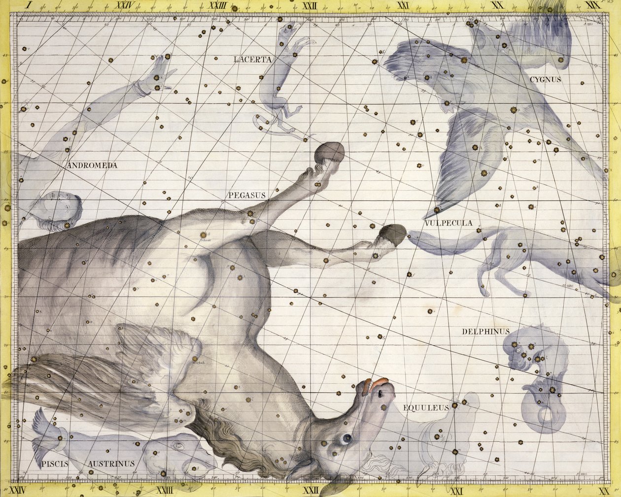 ペガサスの星座、1729年 作： 不明