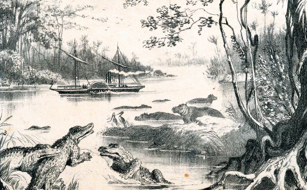 アフリカ、ザンベジをナビゲートするデイヴィッドリビングストーン、1852年から1864年、c1878 作： 不明