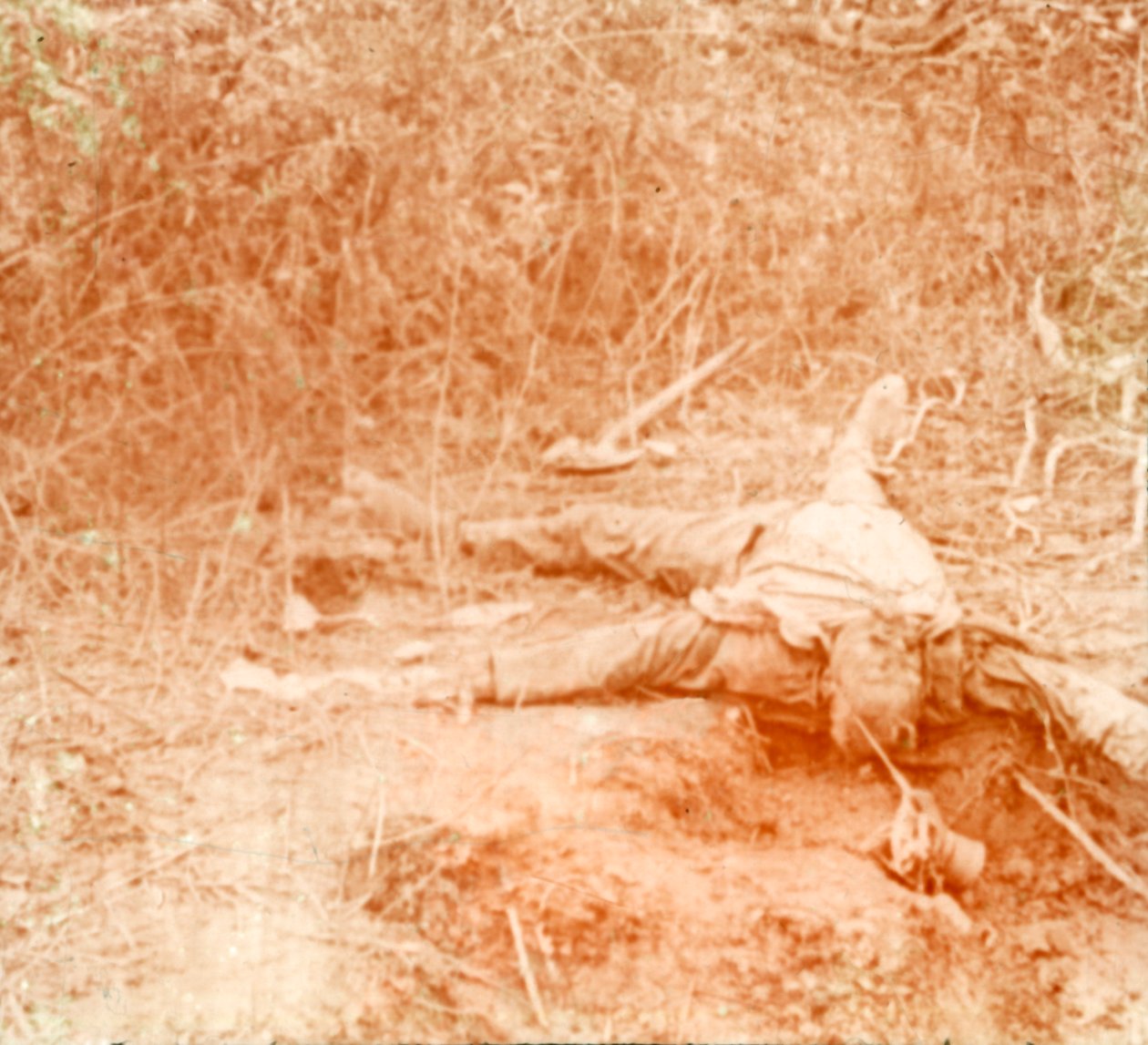 死体、ファーネス、フランダース、ベルギー、c1914-c1918 作： 不明