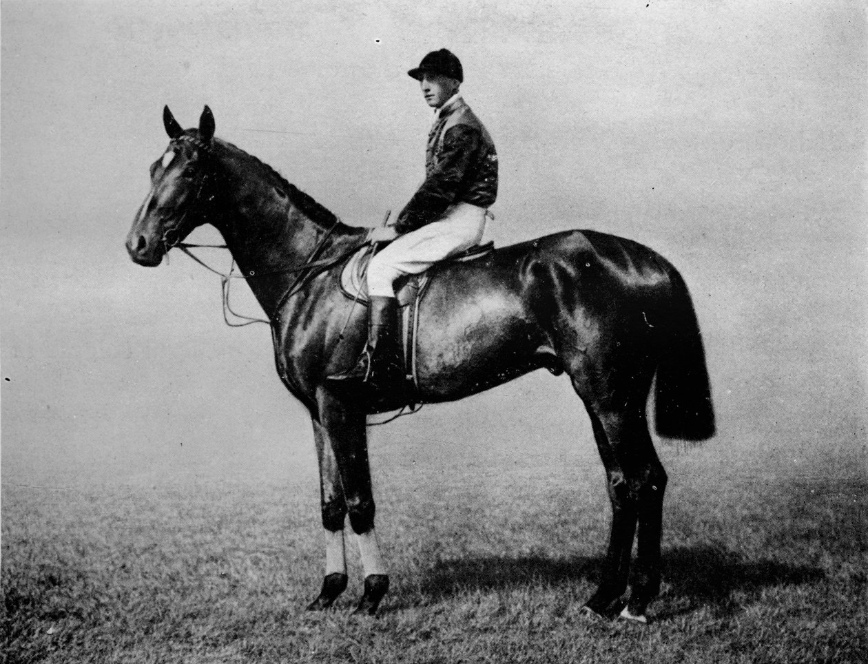 ダイヤモンドジュビリー、1911年 作： 不明