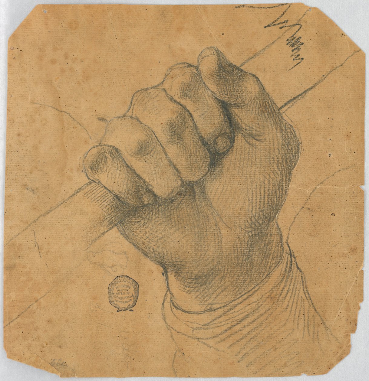 描画、研究 作： 不明