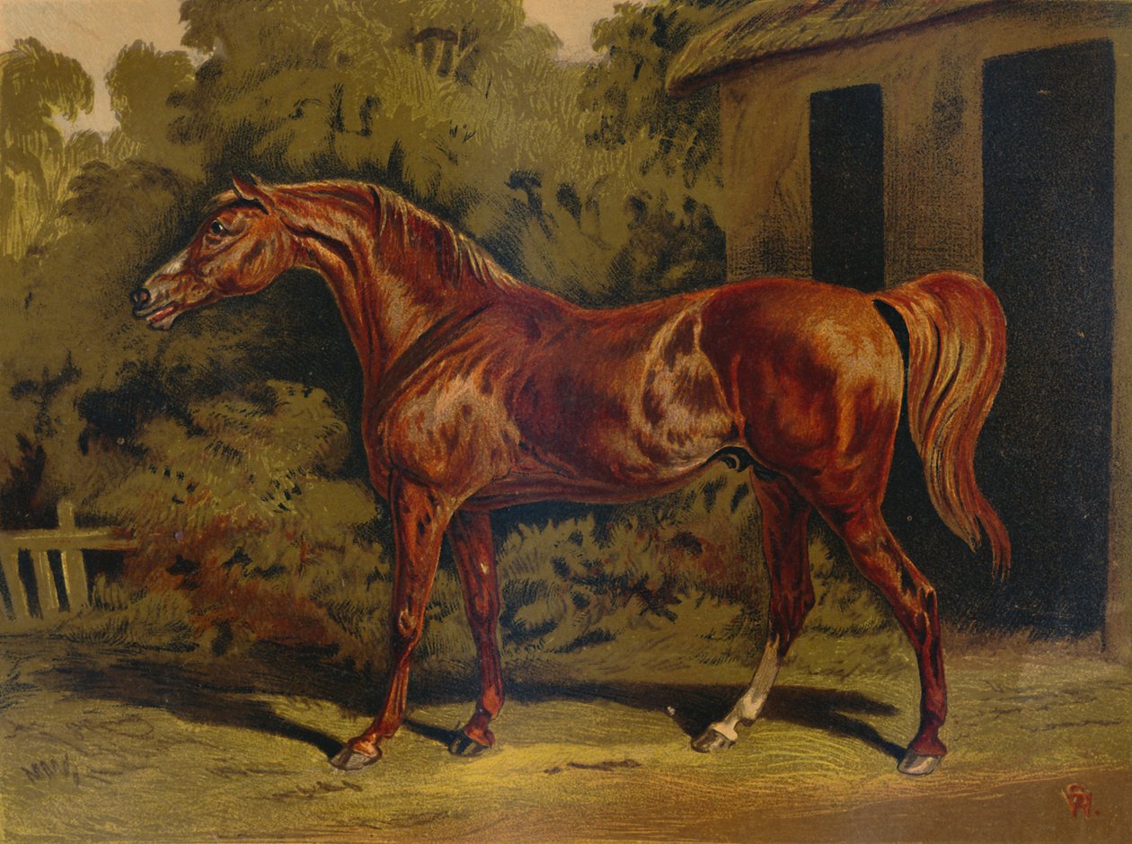 Eclipse、c1879。 作： 不明