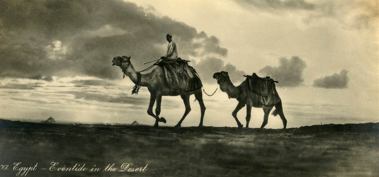 エジプト-砂漠の夕暮れ、c1918-c1939。 作： 不明