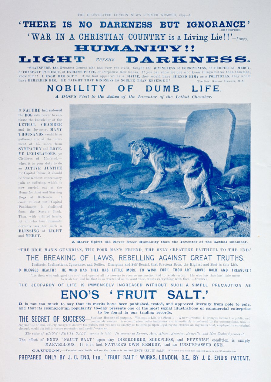 Enos Fruit Saltの広告、1899年 作： 不明
