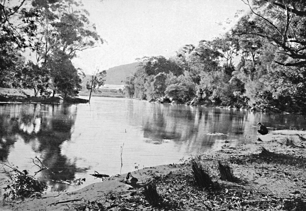 イブニングシャドウ、国立公園、c1900。 作： 不明