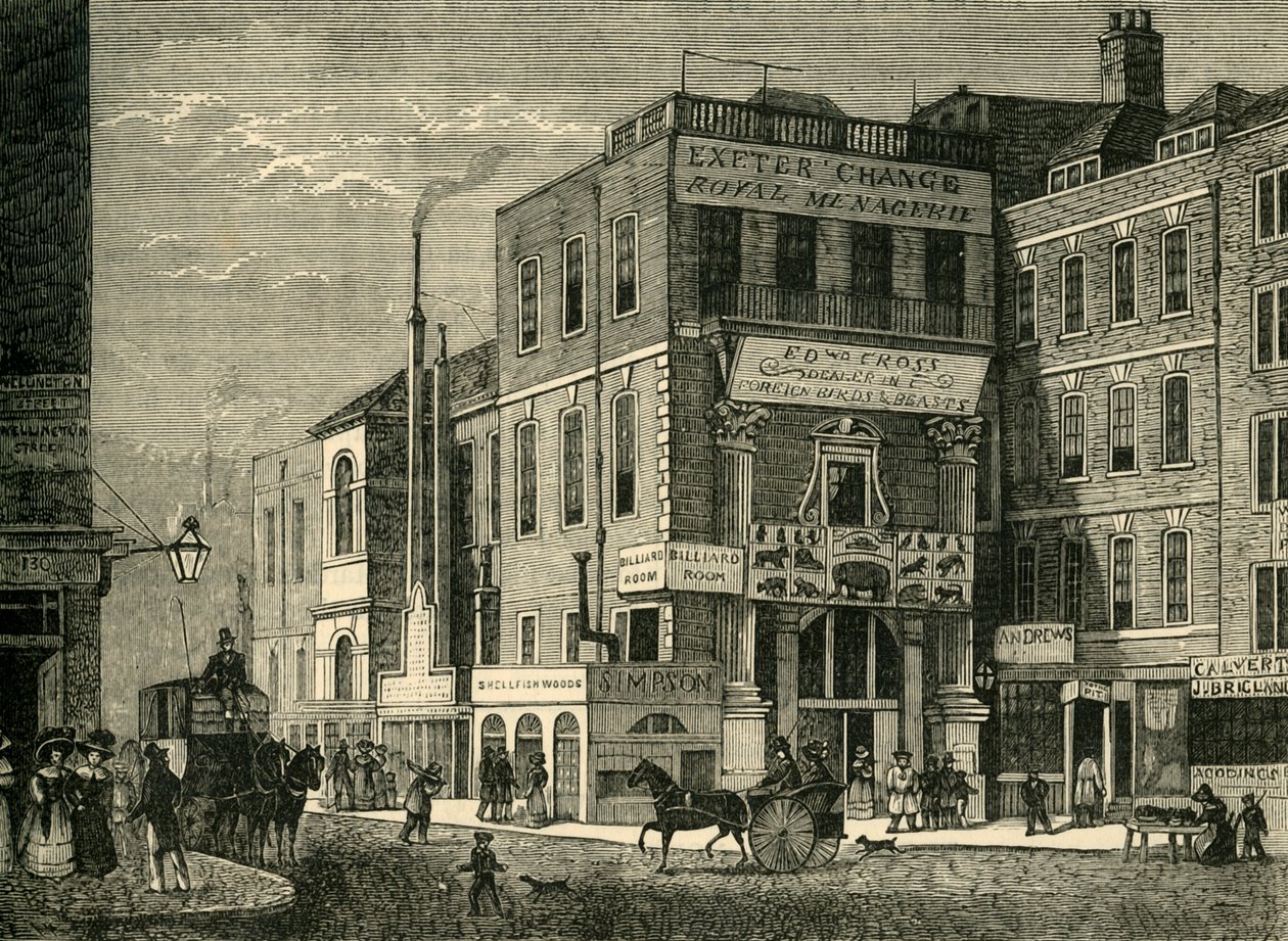 1826年、1881年のエクセターの変更。 作： 不明