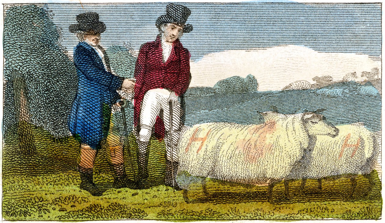 1822年にディシュリーニューレスターの羊について話している農家 作： 不明