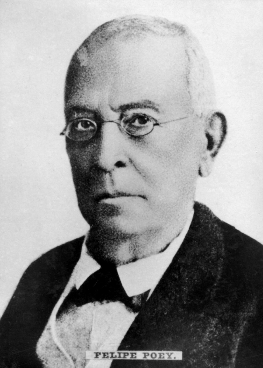 フェリペポーイ1799〜1891年、キューバの動物学者 作： 不明
