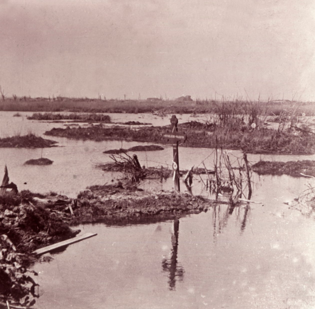 洪水、フランダース、ベルギー、c1914-c1918 作： 不明