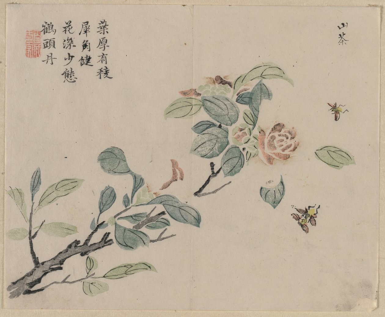 ミツバチ、18世紀の開花枝。 作： 不明