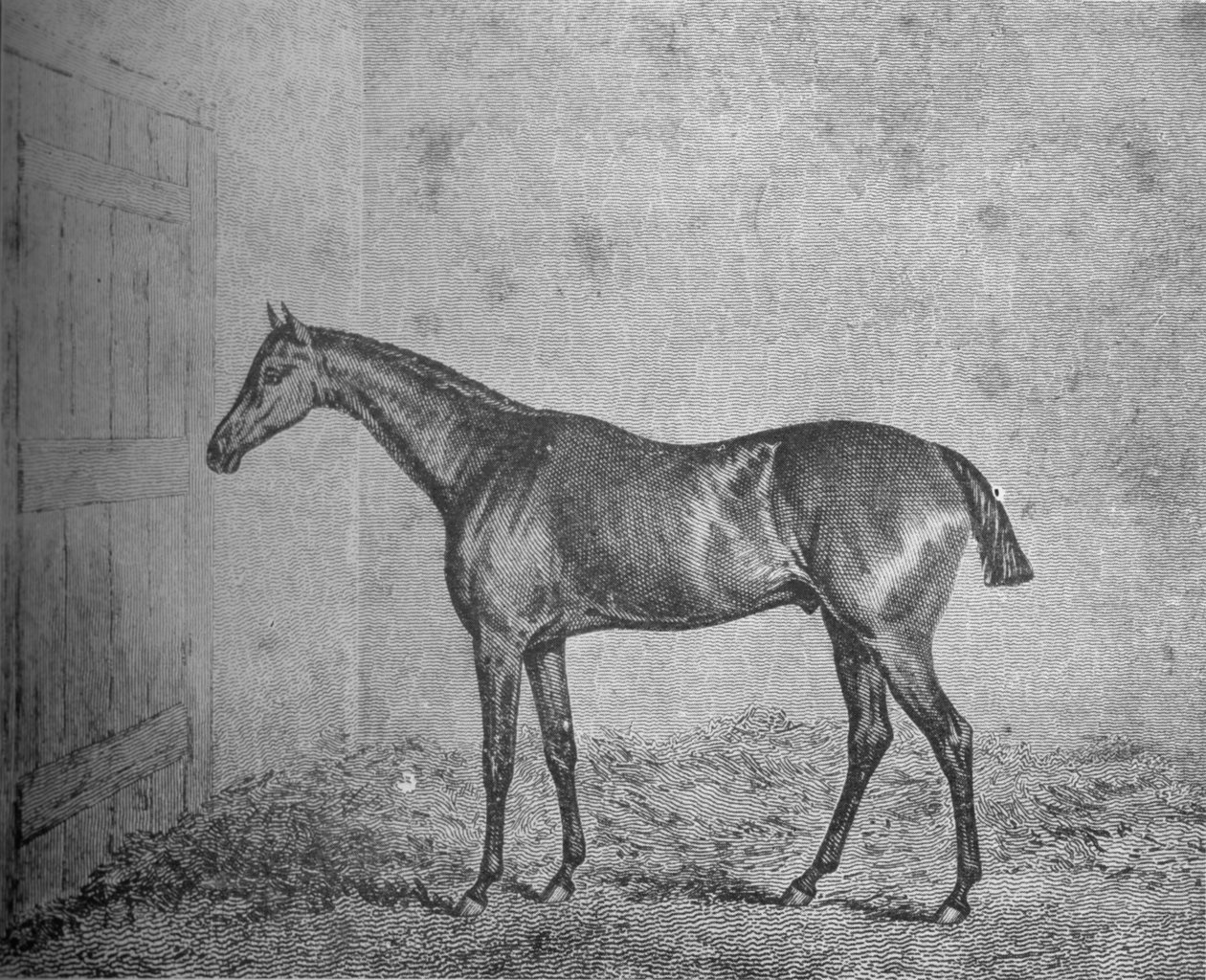 フレデリック、1826-1837、1911 作： 不明