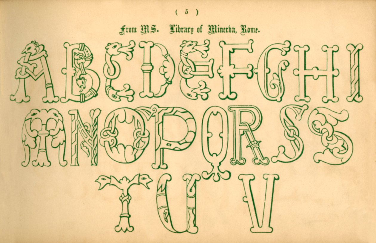 MSから。ミネルヴァ図書館、ローマ、1862年。 作： 不明