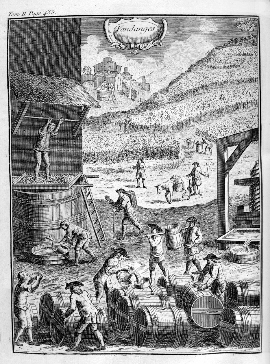ブドウの収穫、1775 作： 不明