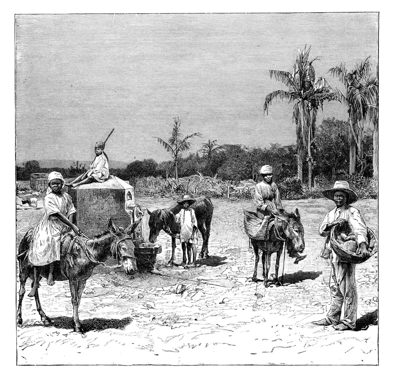 ハイチ人のグループ、c1890 作： 不明