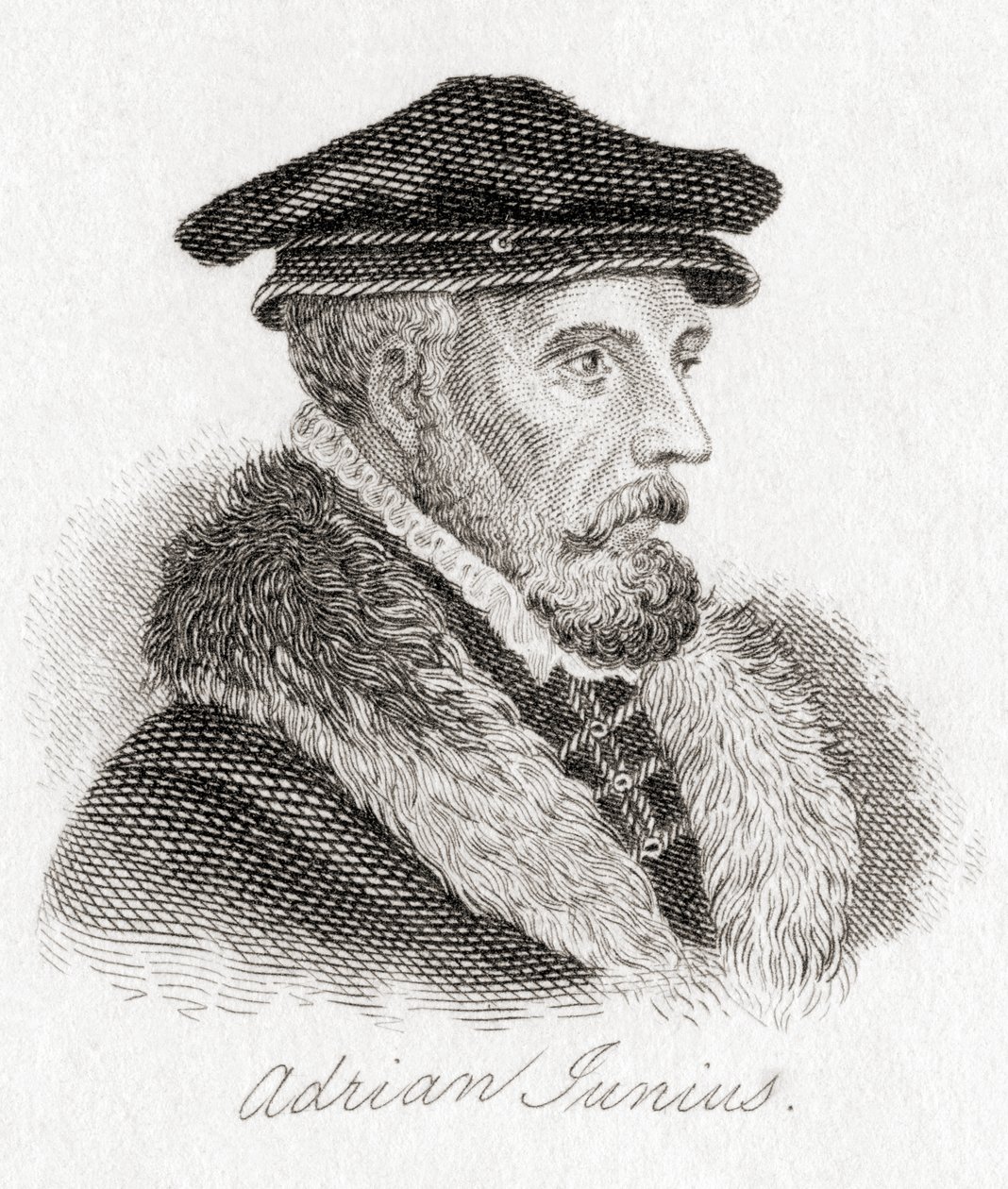 Hadrianus Junius,15111575, aka Adriaen de Jonghe. 作： 不明