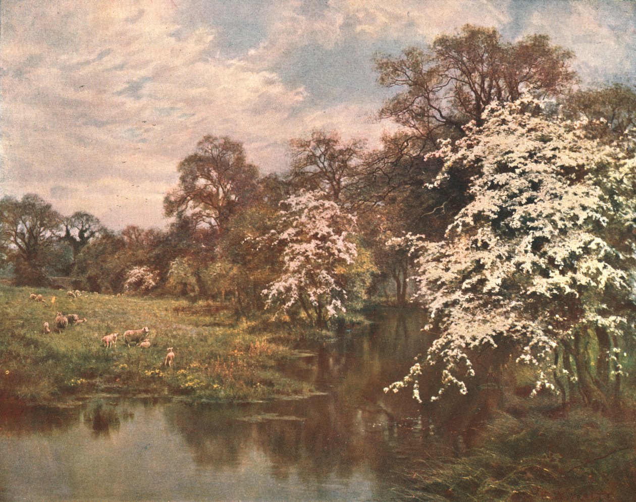 サンザシの花、c1899、c1902。 作： 不明
