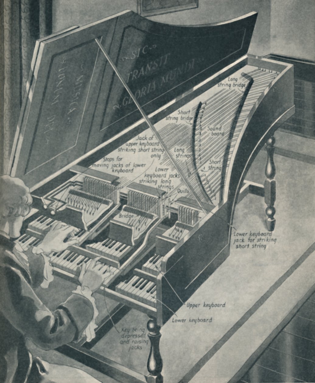 Handels Harpischordのしくみ、c1934 作： 不明