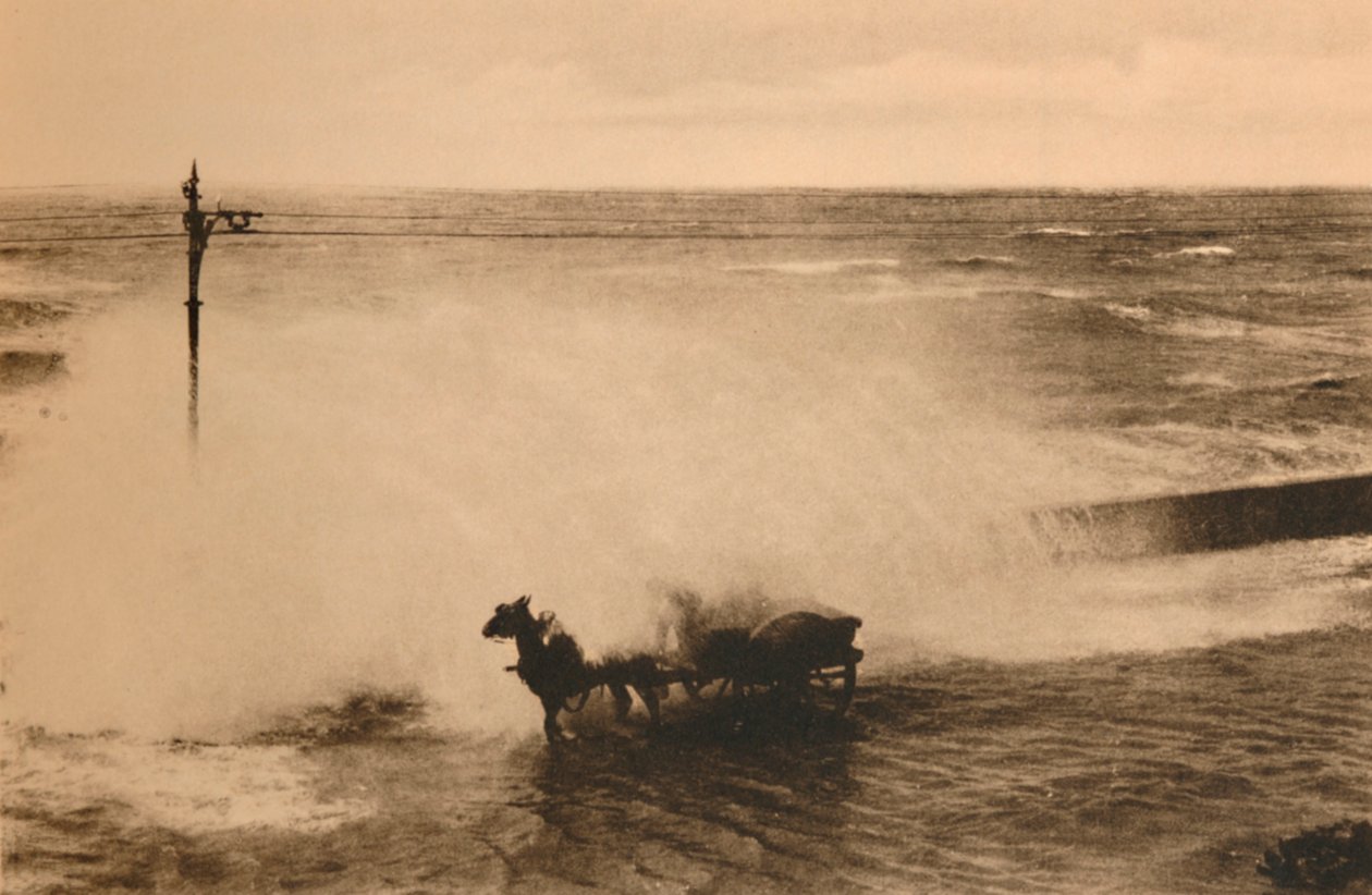 In a Wave、c1928 作： 不明