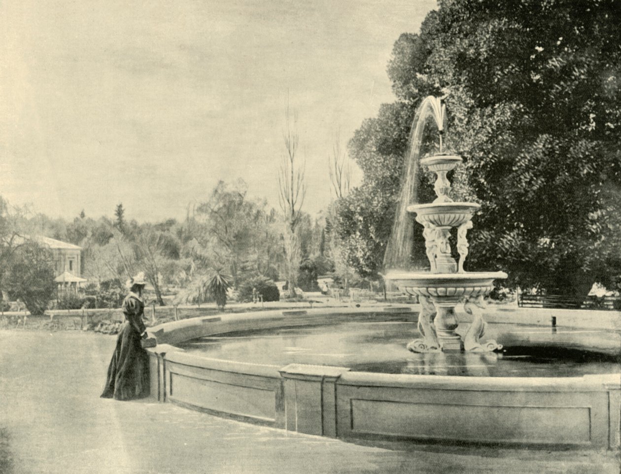 植物園、アデレード、1901年。 作： 不明