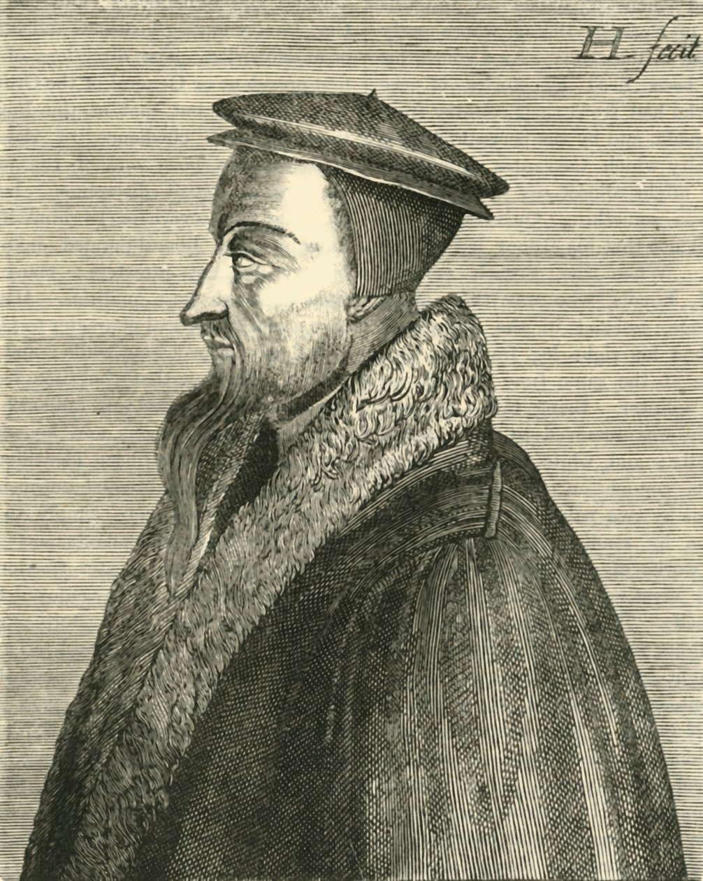 ジョンカルバン、c1540-1560、1890。 作： 不明