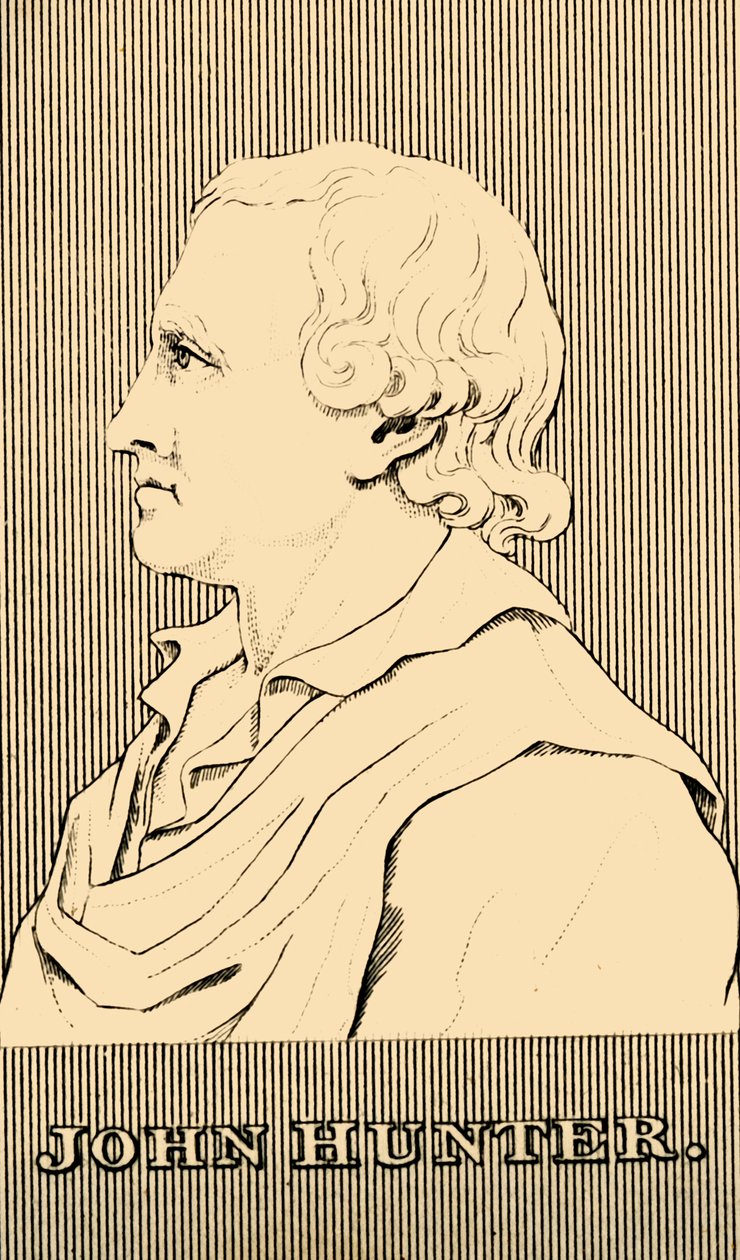 ジョン・ハンター、1728-1793、1830。 作： 不明