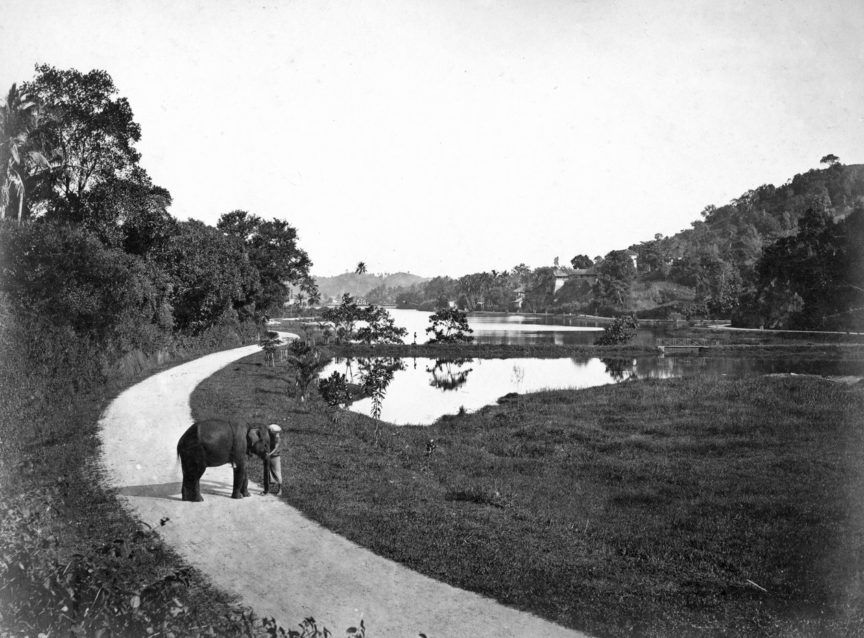 キャンディ湖、キャンディ、スリランカ、c1910s 作： 不明