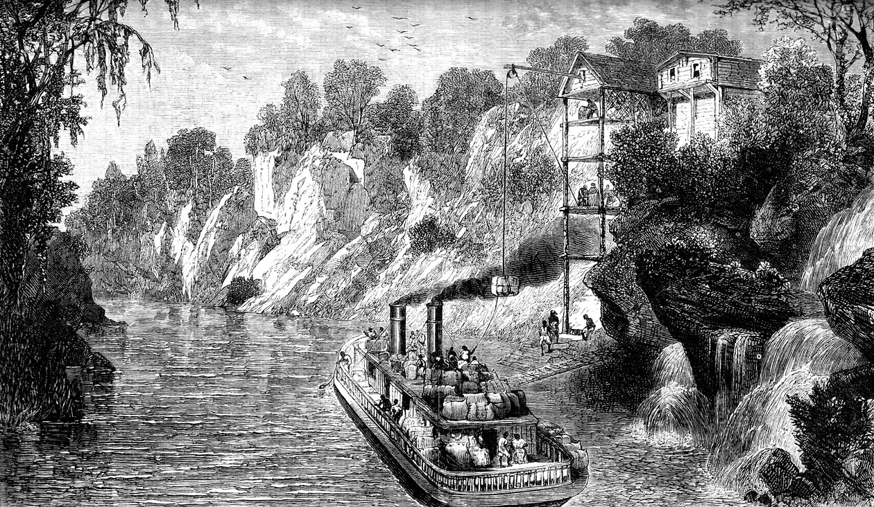 綿の蒸し器、米国、c1880の読み込み 作： 不明
