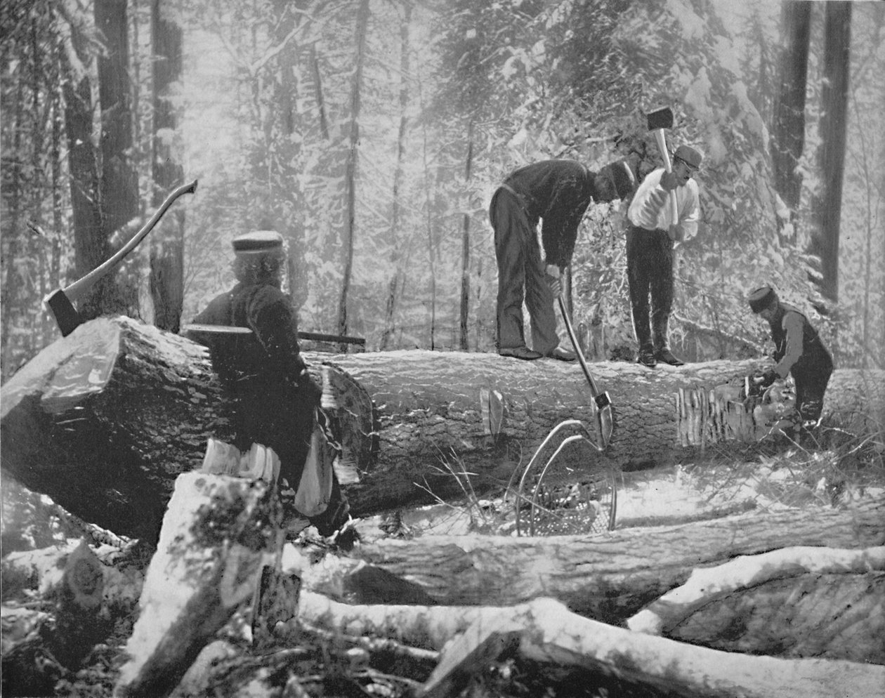 カナダ、オタワ川の製材所、c1897。 作： 不明
