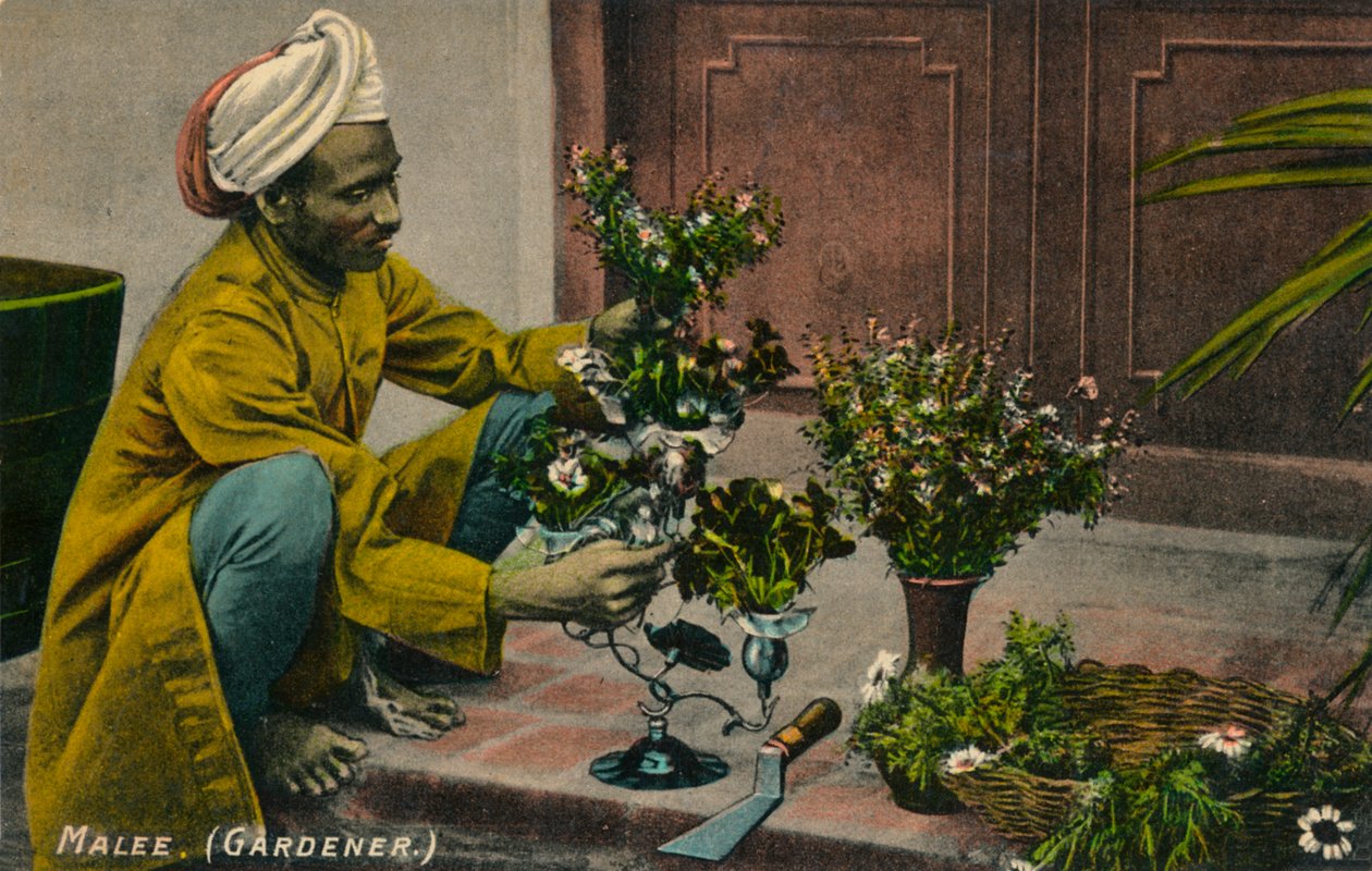 マリー庭師、c1900 作： 不明