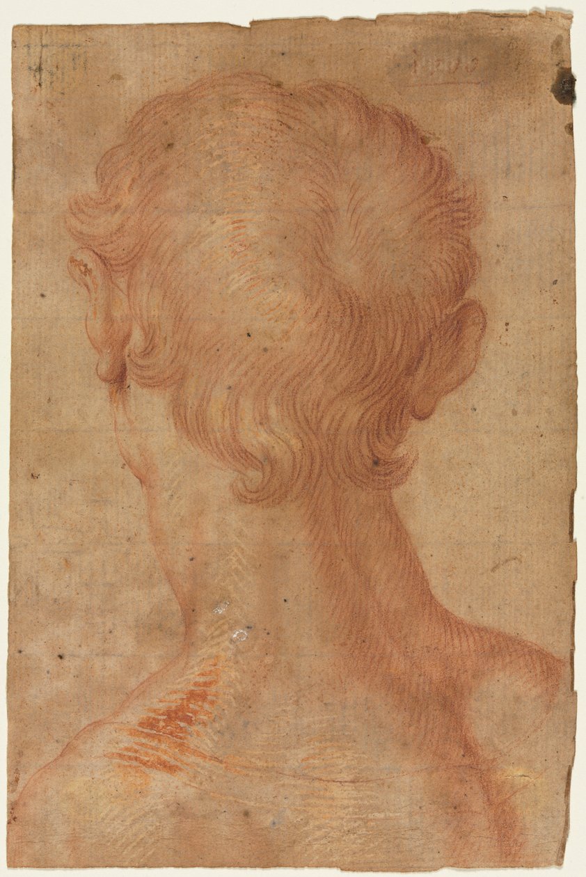 Mans Head from the Back、16世紀。 作： 不明