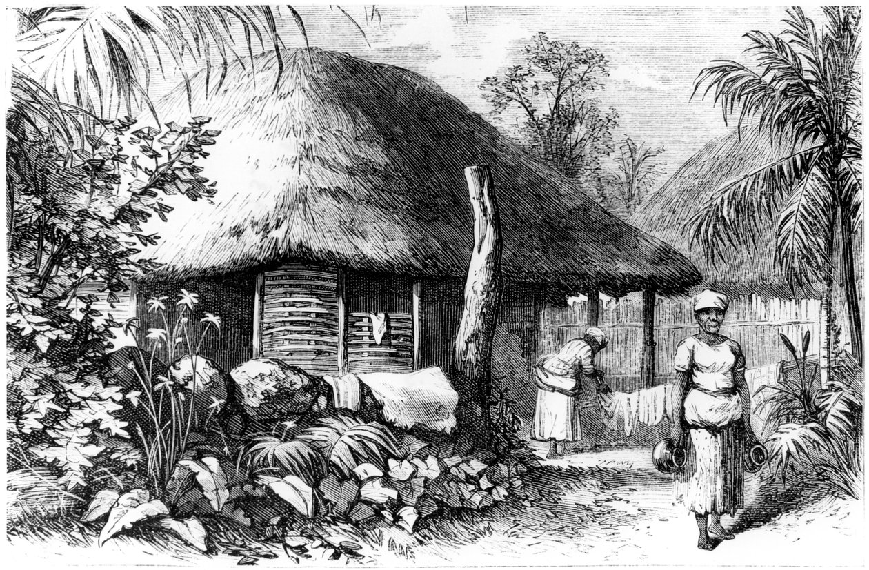 生息地、サントドミンゴ、1873 作： 不明