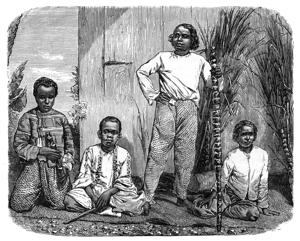 レユニオン島の先住民、c1890 作： 不明